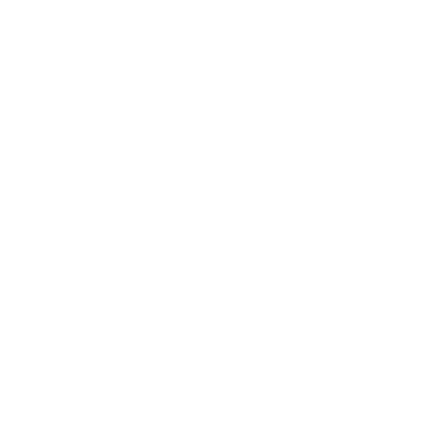 國內旅游